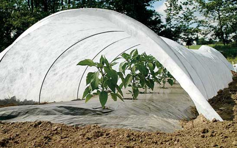 J. K. Farming - Crop Cover